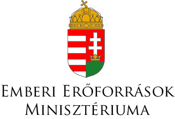 EMMI logo